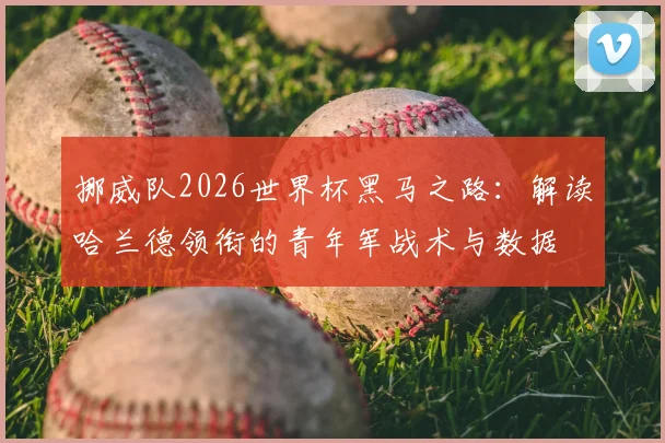 挪威队2026世界杯黑马之路:解读哈兰德领衔的青年军战术与数据